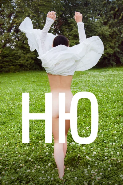 Постер: Ню
